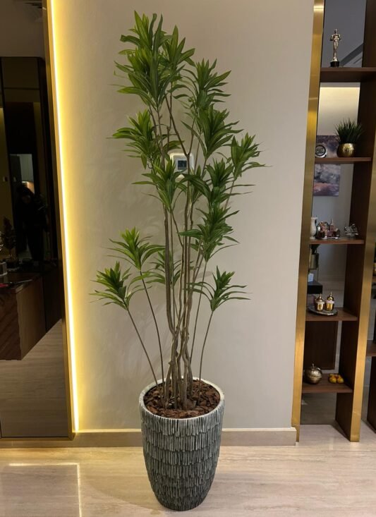 WhatsApp Image 2025-09-07 at 4.46.55 PM