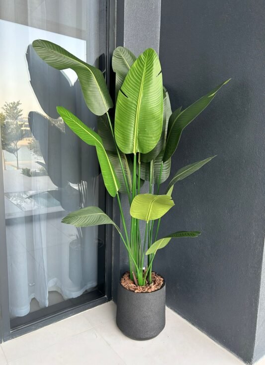 WhatsApp Image 2025-10-18 at 4.34.33 PM