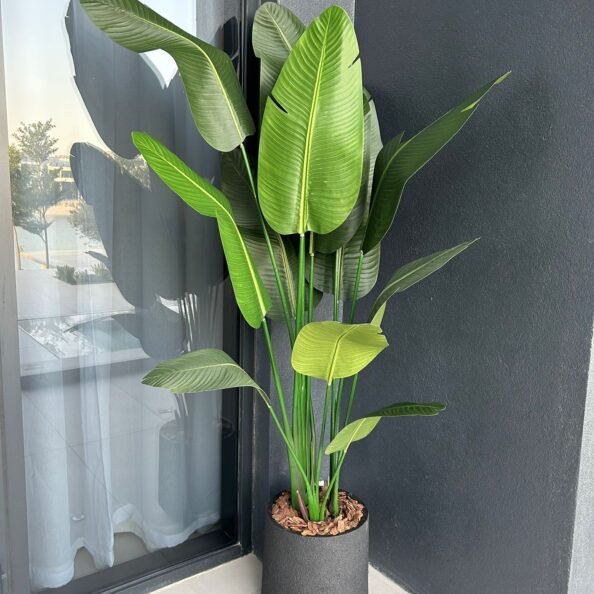 WhatsApp Image 2025-10-18 at 4.34.33 PM