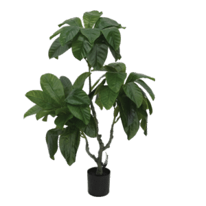 شجرة الأكيدنيا (اللوquat) الاصطناعية