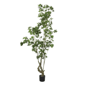 شجرة الماهونيا الاصطناعية