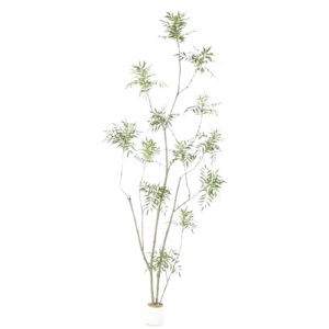 شجرة الماهونيا الصناعية