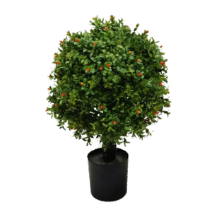 النباتات الصغيرة