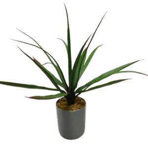 بونساي يوكا اصطناعي