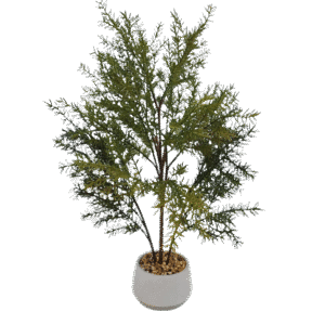 شجرة السيدر الأسترالية الاصطناعية