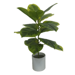 شجرة الفيكس الاصطناعية