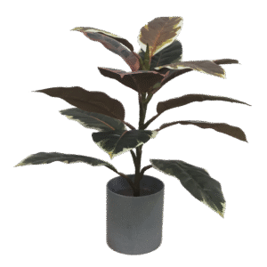 شجرة المطاط الاصطناعية بأوراق ملونة