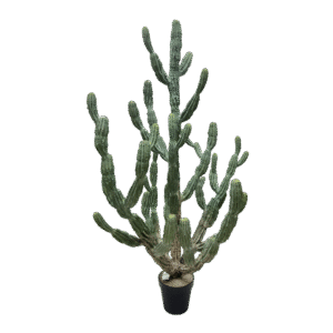 صبار اصطناعي