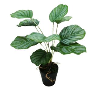 نبتة ورق التفاح الاصطناعية مع أصيص