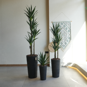 شجرة صبار اصطناعية مع حوض GRC فاخر