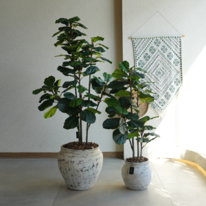 شجرة فيدل اصطناعية مع حوض GRC فاخر