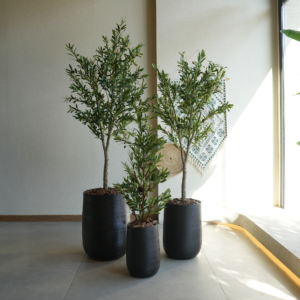 زيتون اصطناعي مع حوض فايبر كلاي